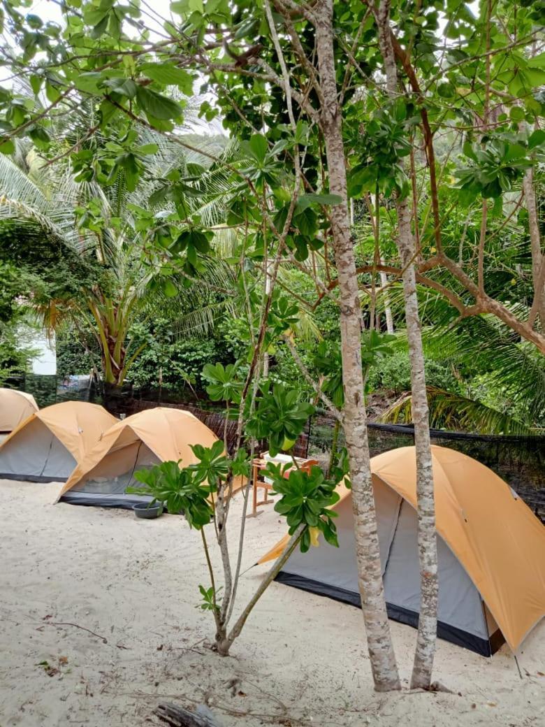 Redang Campstay Exteriör bild