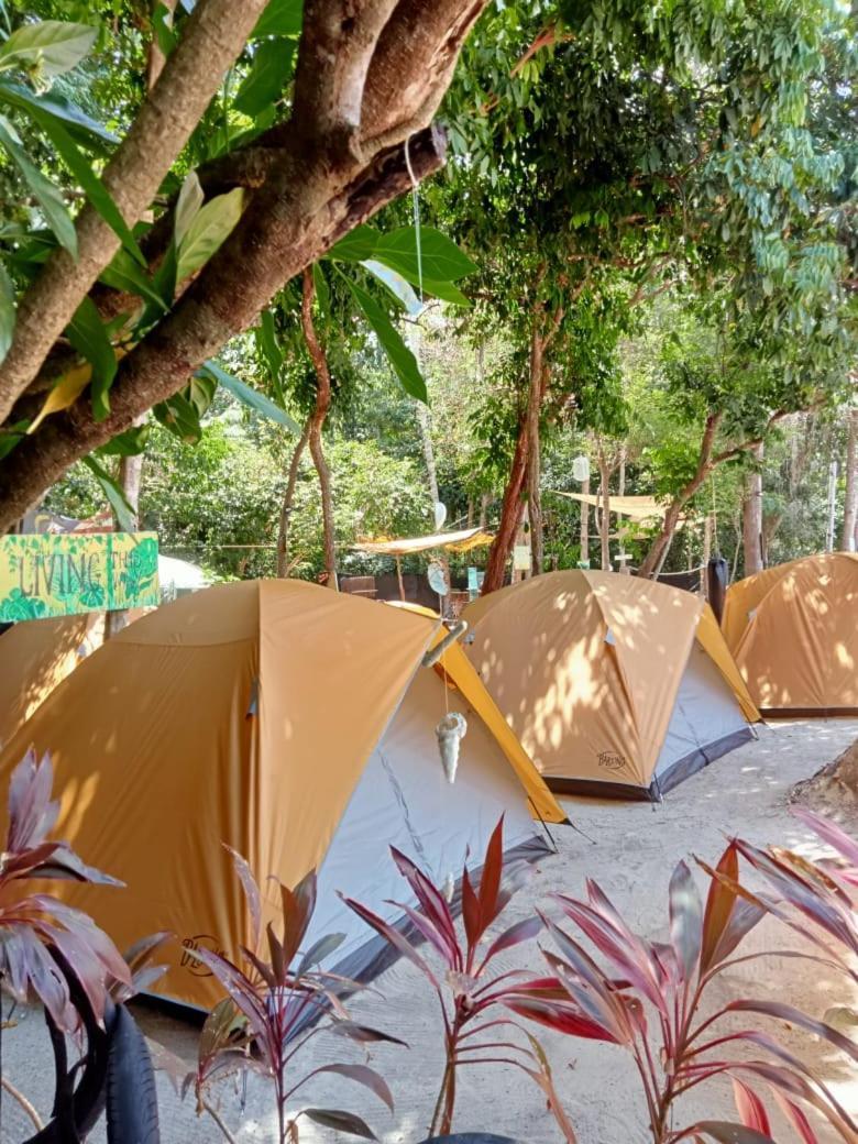 Redang Campstay Exteriör bild